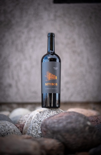 🍷 Visit to the Winery