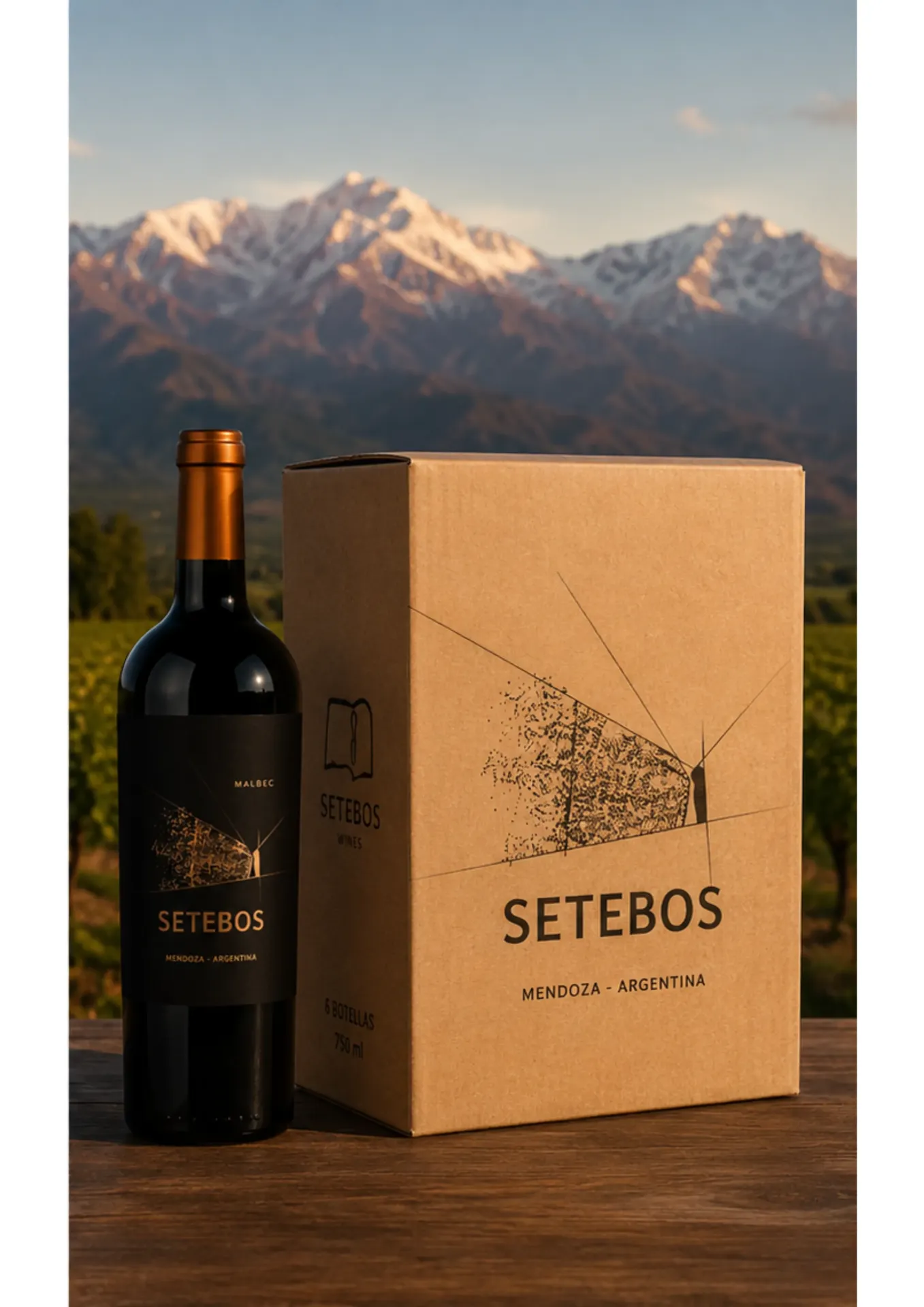 Caja Vino Setebos Malbec 2025